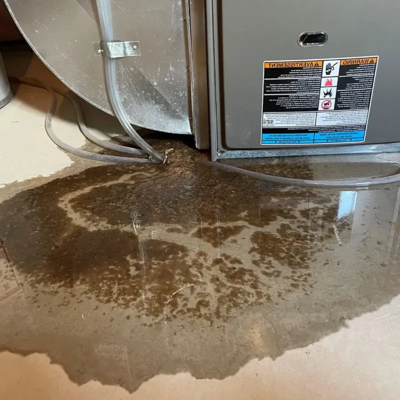 Pipe Burst and Leak Restoration in Tivoli, NY
